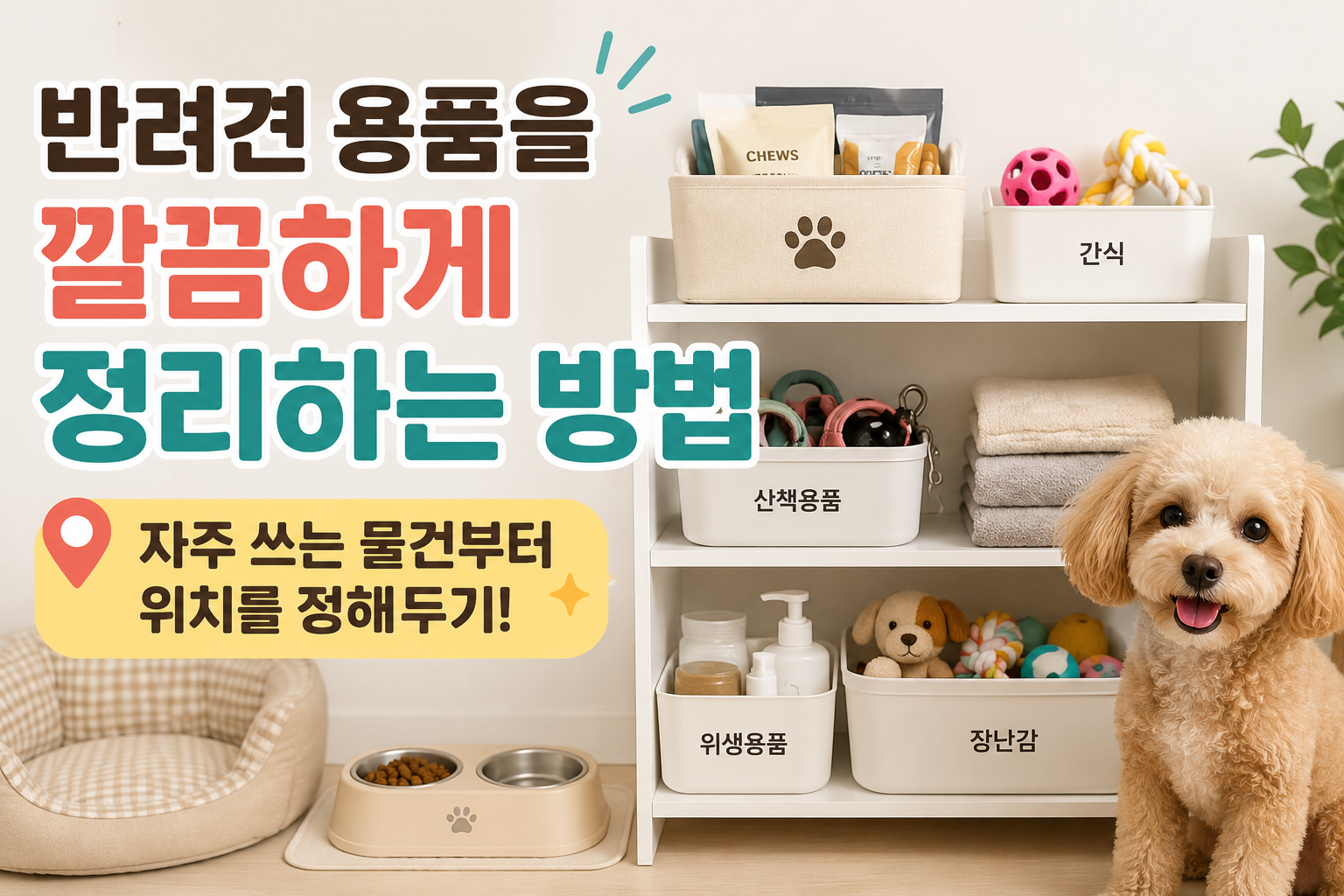 반려동물9