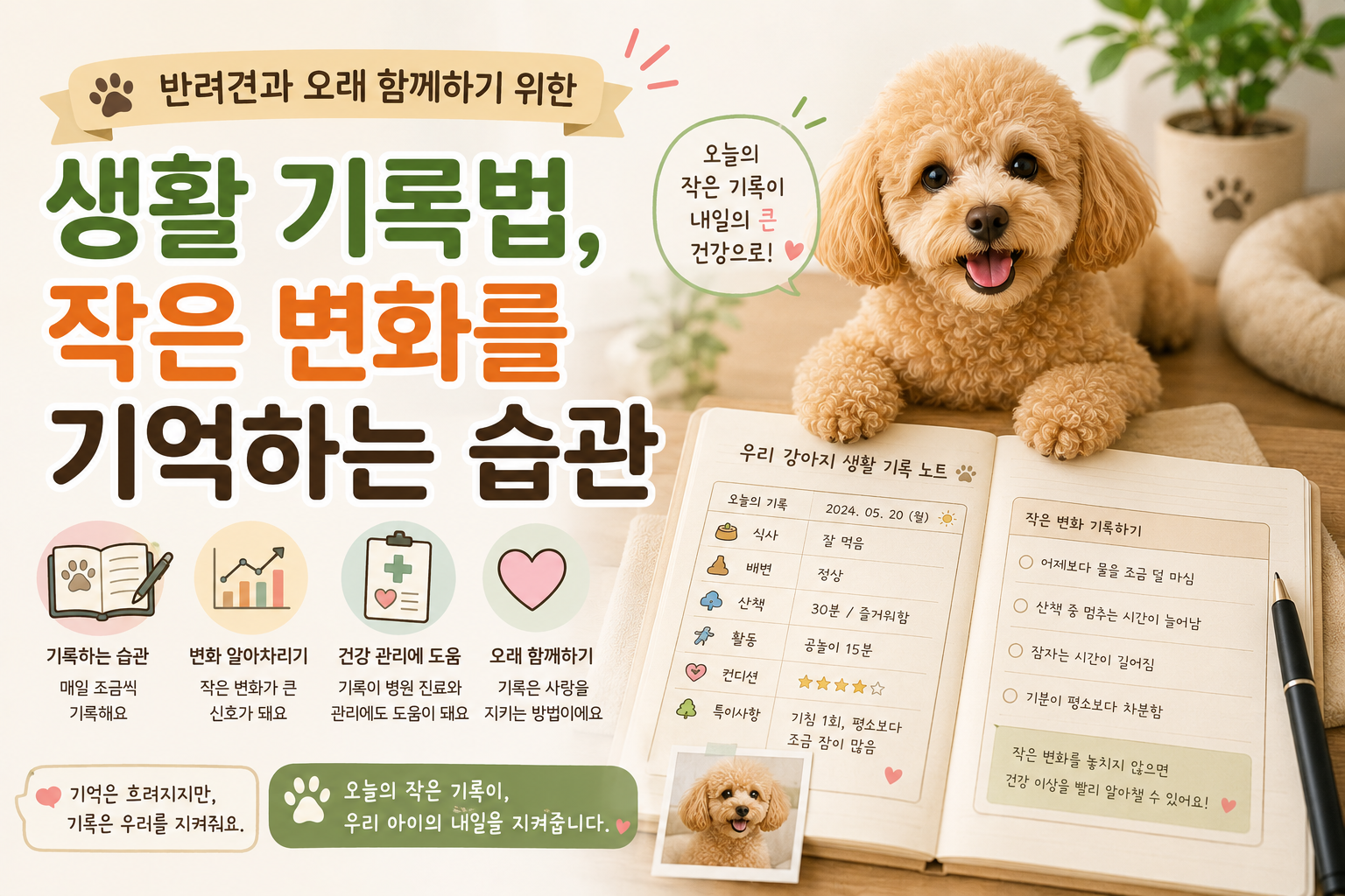 반려동물12