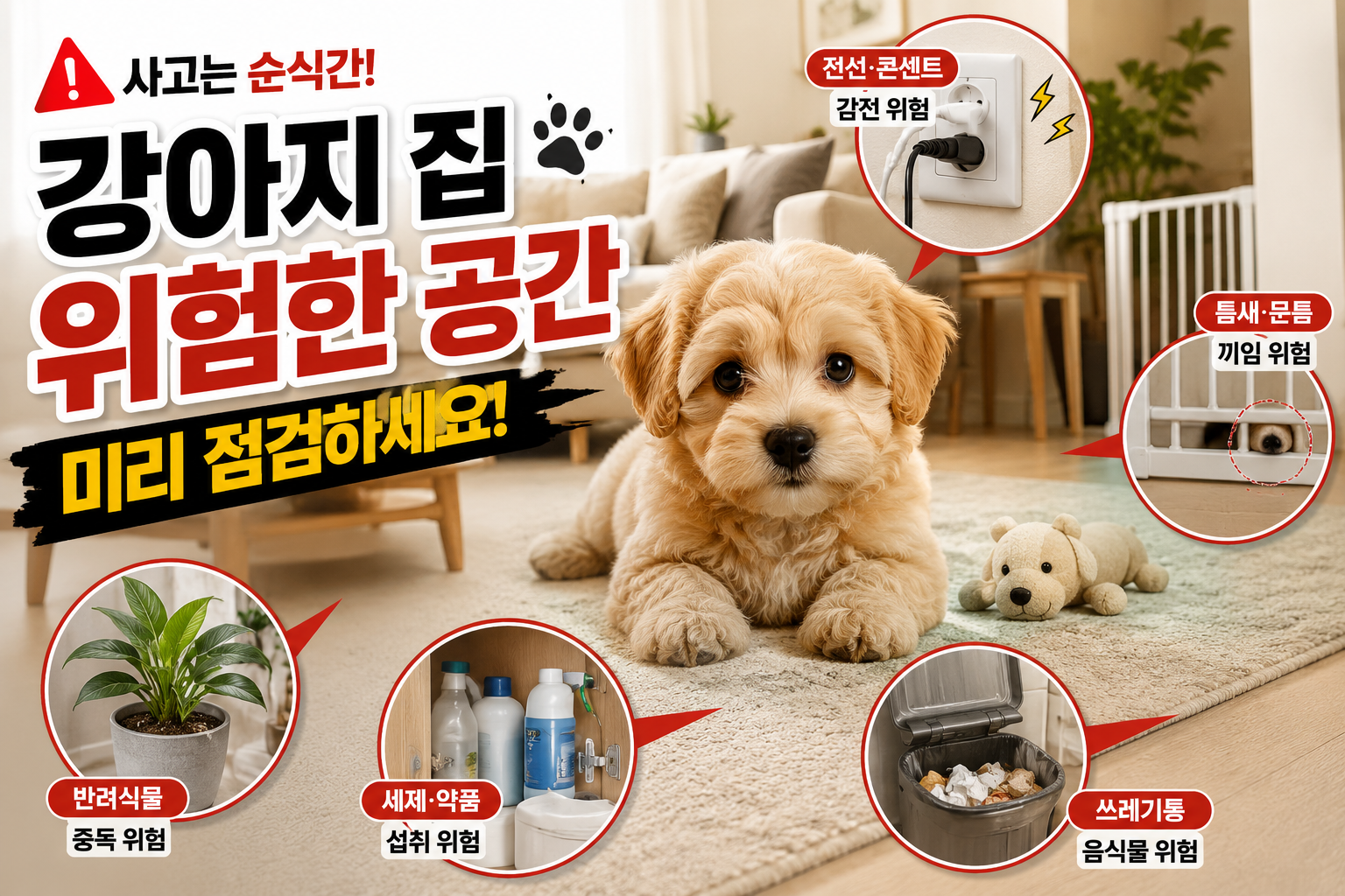 반려동물13